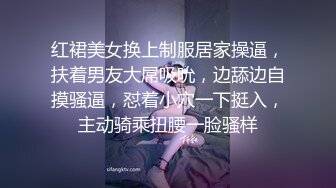 红裙美女换上制服居家操逼，扶着男友大屌吸吮，边舔边自摸骚逼，怼着小穴一下挺入，主动骑乘扭腰一脸骚样