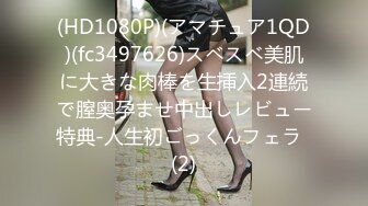 91制片厂 91CM-248 我的姐姐不可能那么淫荡 小林杏