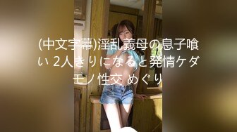 (中文字幕)淫乱義母の息子喰い 2人きりになると発情ケダモノ性交 めぐり