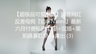 四川开放式淫乱夫妻【sichuan wife】推特福利，线下活动，淫靡生活，约两位粉丝单男3P娇妻 (2)