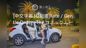 [中文字幕3D動畫]Fate／Gentle Order -The コミックムービー