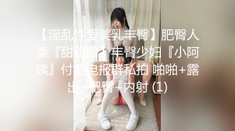 【淫乱性爱美乳丰臀】肥臀人妻『甜甜圈】丰臀少妇『小阿姨』付费电报群私拍 啪啪+露出+肥臀+内射 (1)