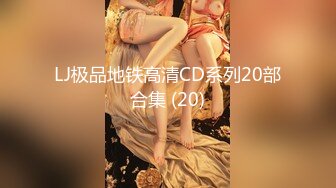 LJ极品地铁高清CD系列20部合集 (20)