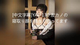 [中文字幕]YAL-130 友カノの寢取り顔を黙って売ってます 音海里奈