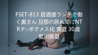 FSET-813 居酒屋ランチで働く奧さん 旦那の居ぬ間にNTRチ○ポでメス化 美夏 30歳 藍川美夏