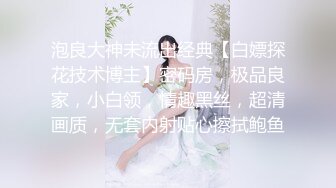 泡良大神未流出经典【白嫖探花技术博主】密码房，极品良家，小白领，情趣黑丝，超清画质，无套内射贴心擦拭鲍鱼