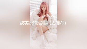 欧美23带剧情 (2,推荐) 