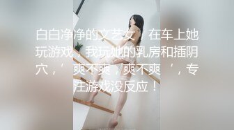 白白净净的文艺女，在车上她玩游戏，我玩她的乳房和插阴穴，’爽不爽，爽不爽‘，专注游戏没反应！