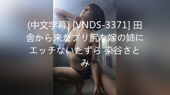 (中文字幕) [VNDS-3371] 田舎から来たプリ尻な嫁の姉にエッチないたずら 染谷さとみ