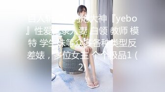 百人斩顶级约炮大神『yebo』性爱记录人妻 白领 教师 模特 学生妹等众多各种类型反差婊，多位女主 个个极品1 (2)