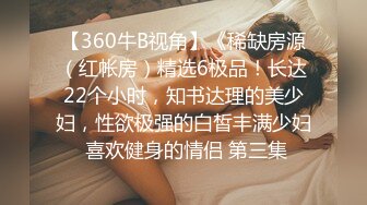 【360牛B视角】《稀缺房源（红帐房）精选6极品！长达22个小时，知书达理的美少妇，性欲极强的白皙丰满少妇 喜欢健身的情侣 第三集