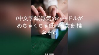 11.5树屋仙女